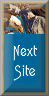 Next page